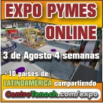 EXPO PYMES ONLINE 2015